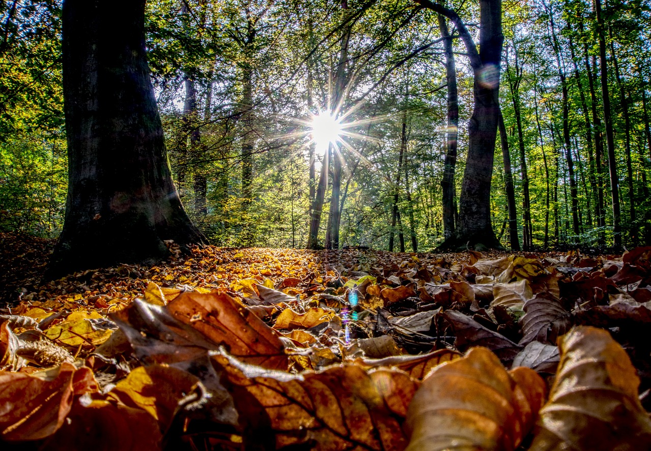 古劍奇譚三最新動(dòng)態(tài)揭秘，新內(nèi)容、玩法與體驗(yàn)全解析