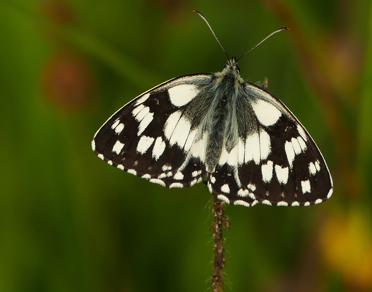 容縣二手房最新信息概覽，最新房源、價(jià)格及交易動(dòng)態(tài)一網(wǎng)打盡！