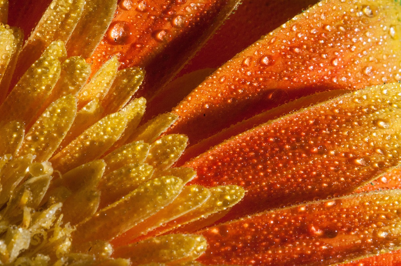 鄭州東岸尚景最新動態(tài)，城市新篇章的璀璨明珠