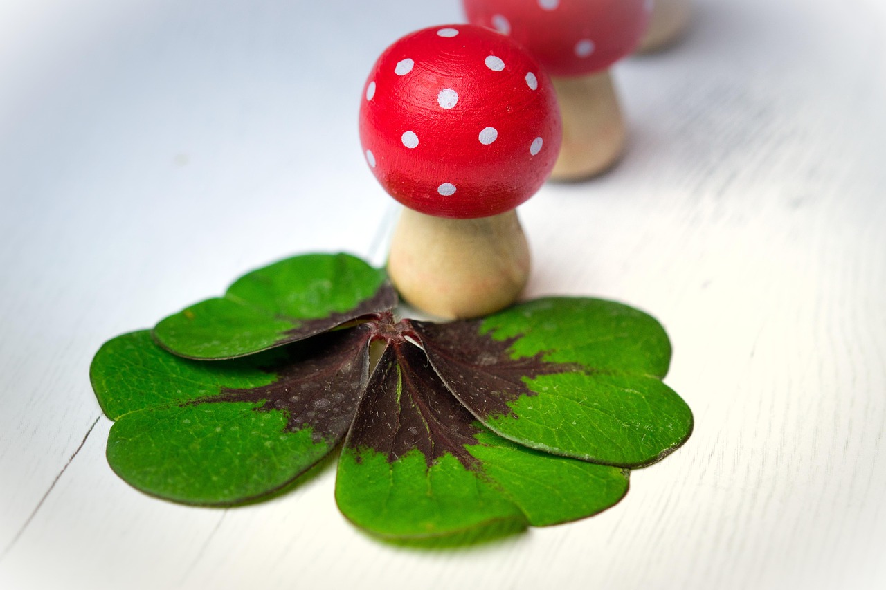 華清御園最新動態(tài)，展現(xiàn)獨特魅力與未來發(fā)展藍圖揭秘