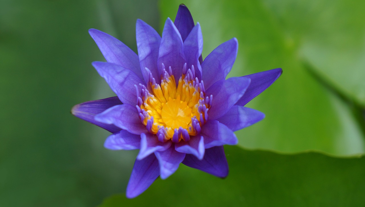 雙陽區(qū)火車站邁向現代化，提升服務質量，最新動態(tài)報告