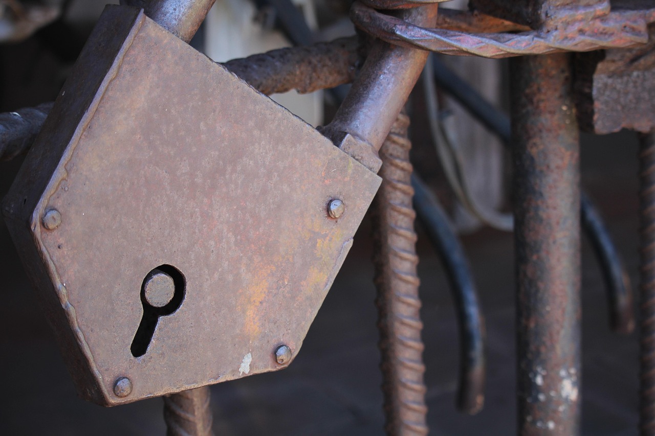 廣東省黨代會最新動態(tài)，新時代的新征程啟航