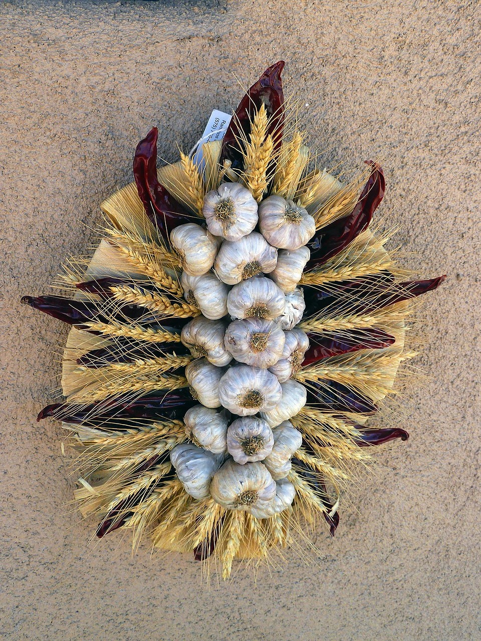 京北生態(tài)新城最新動(dòng)態(tài)，綠色發(fā)展璀璨明珠的崛起