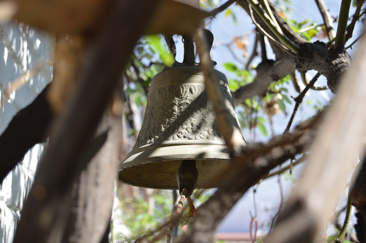 佛山高明房價最新動態(tài)，市場走勢、未來展望與最新消息
