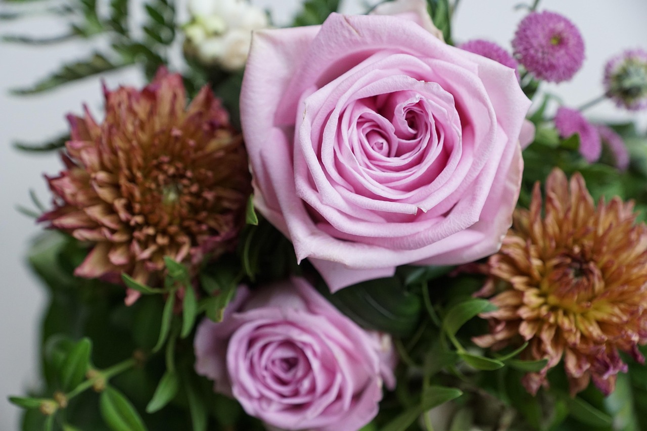 金谷美麗城最新動(dòng)態(tài)，揭開未來繁華序幕