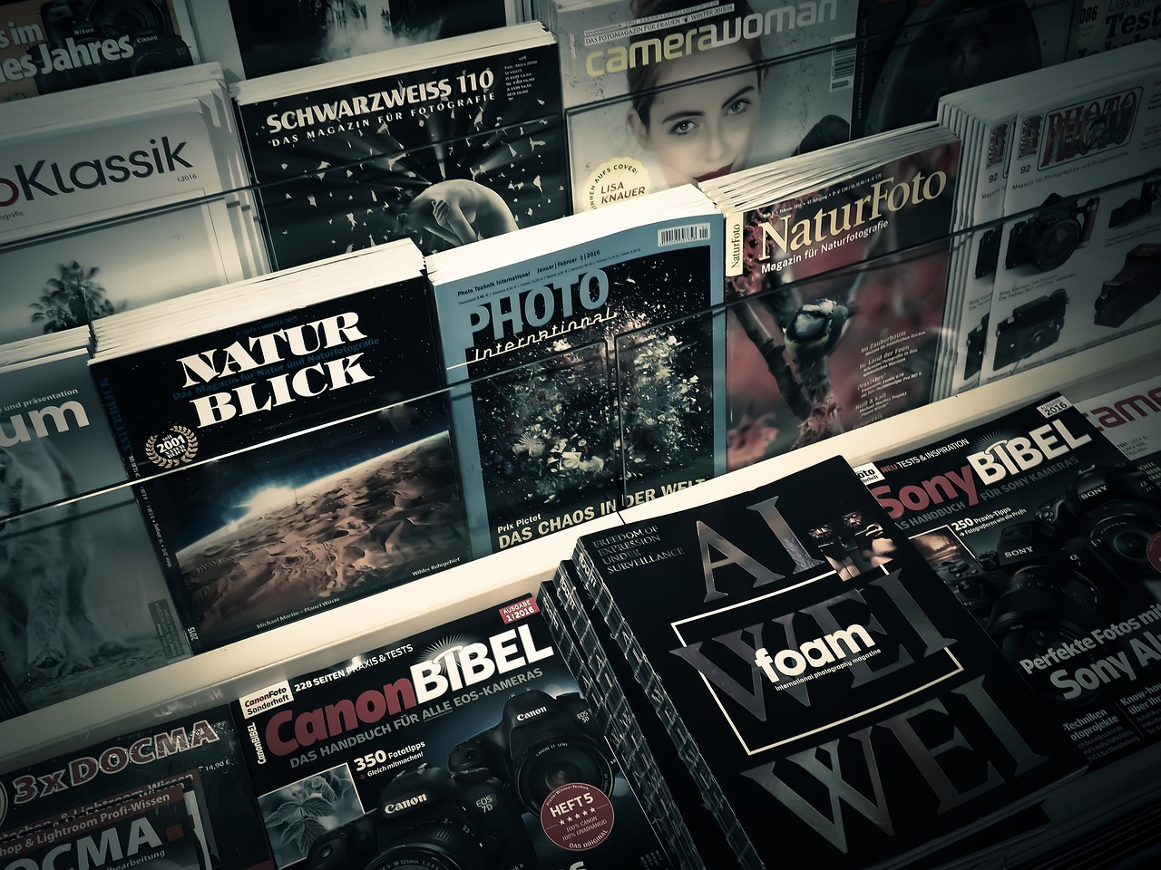 淡年華失青春 第17頁(yè)