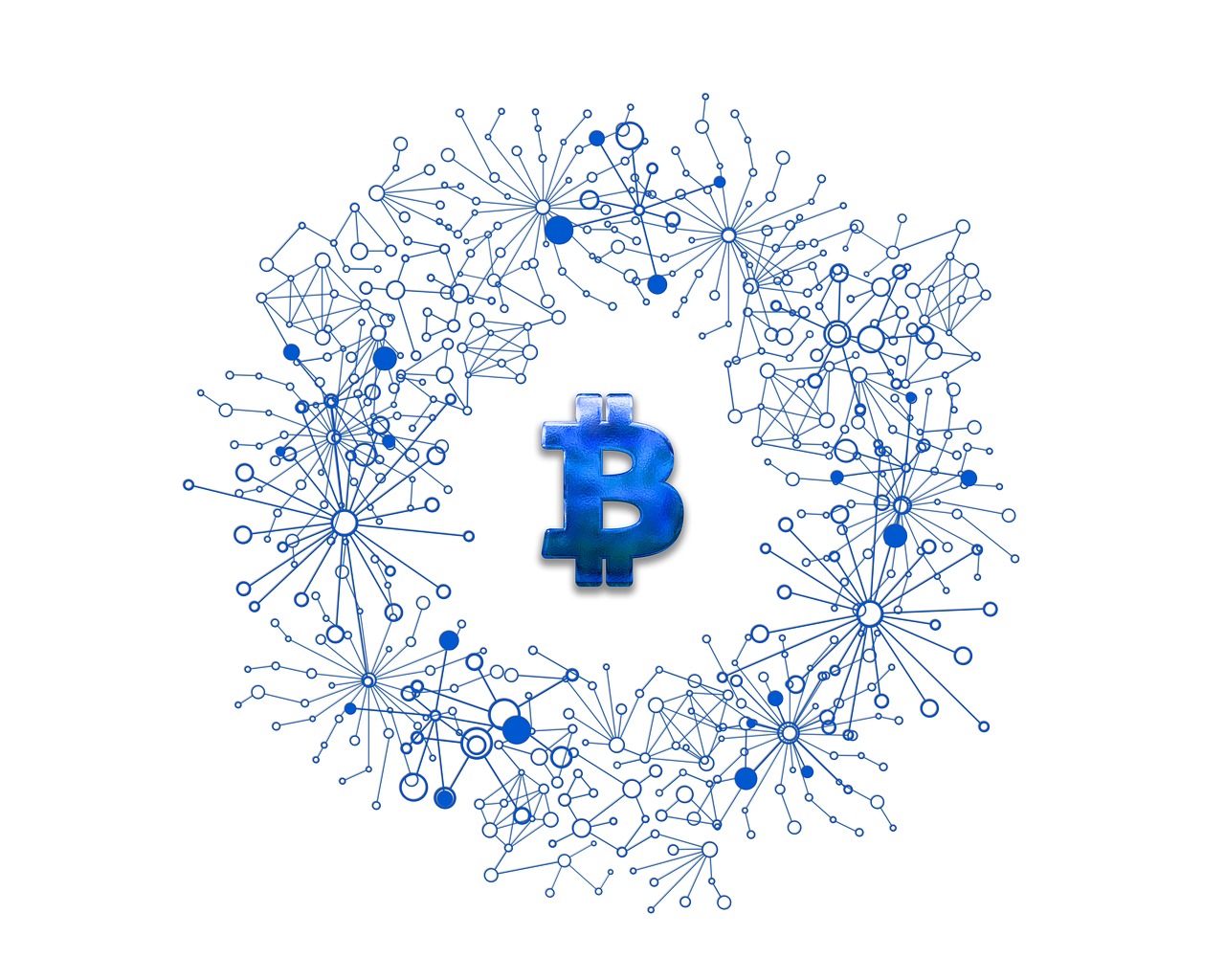 美人魚幣最新動(dòng)態(tài)，探索數(shù)字貨幣新領(lǐng)域