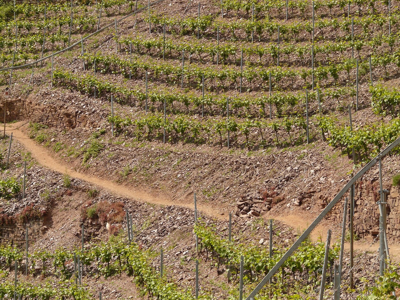 紅河谷論壇最新地址，全新探索與交流平臺(tái)的開啟