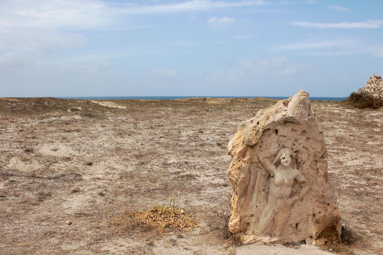 濱海旅游區(qū)新動態(tài)，世界級旅游目的地打造最新消息