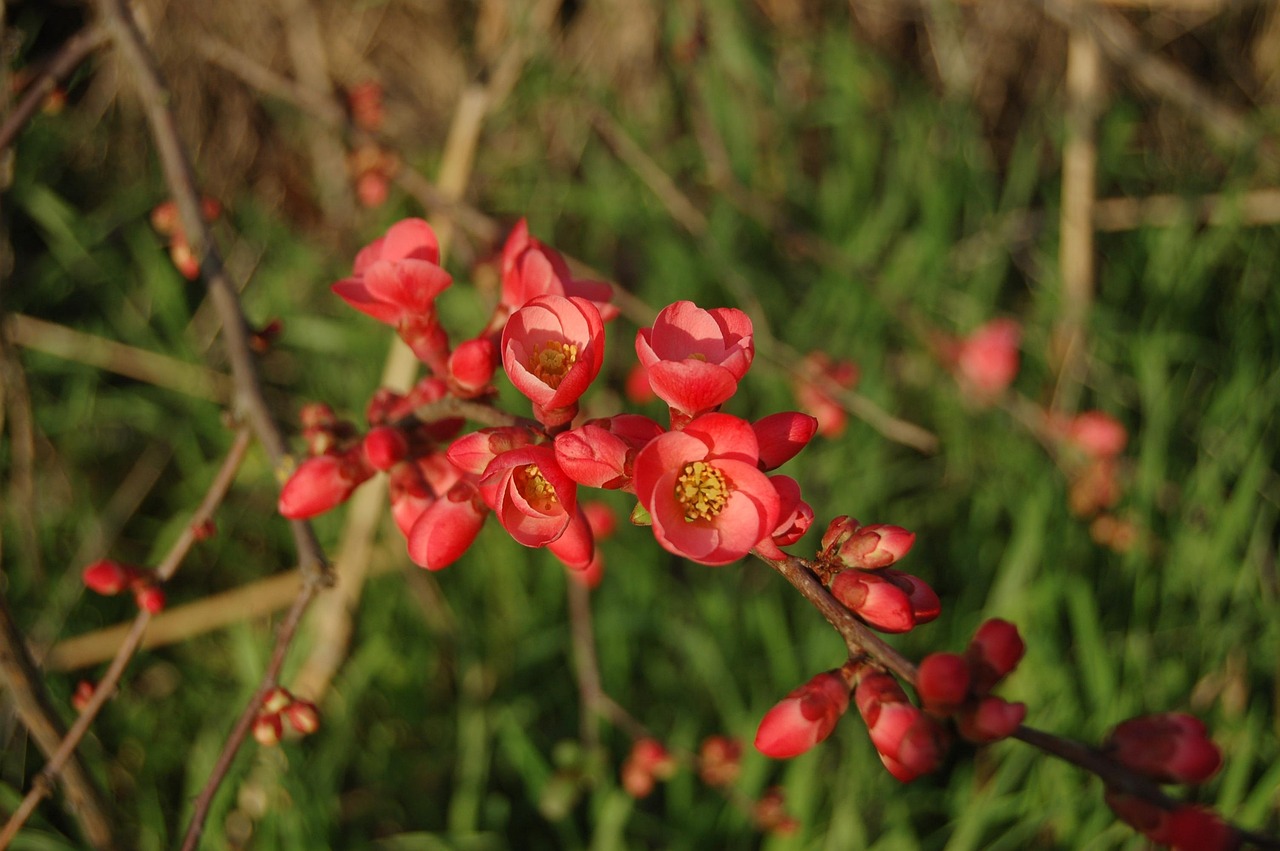 長(zhǎng)治花園歌城最新動(dòng)態(tài)報(bào)道，最新消息一覽