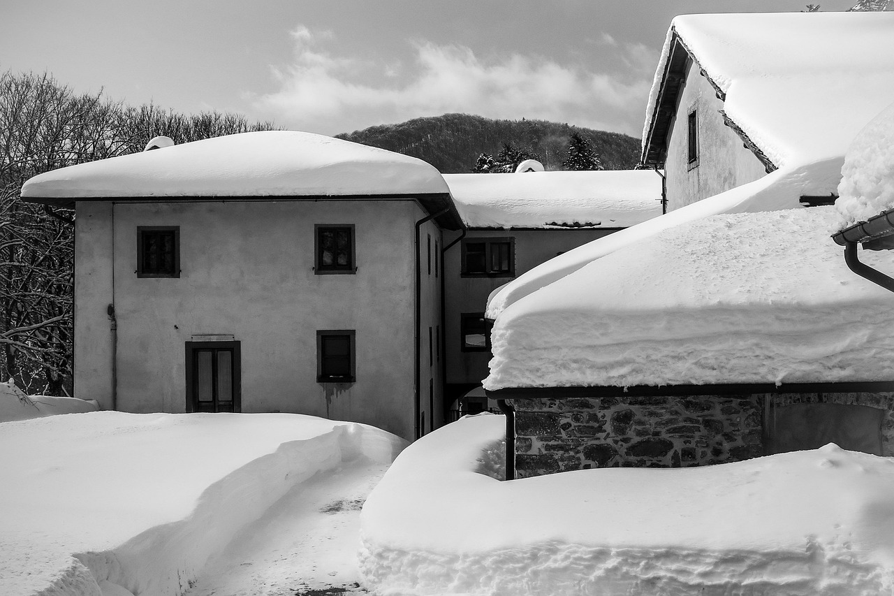 三林拆違動(dòng)態(tài)更新，最新消息匯總