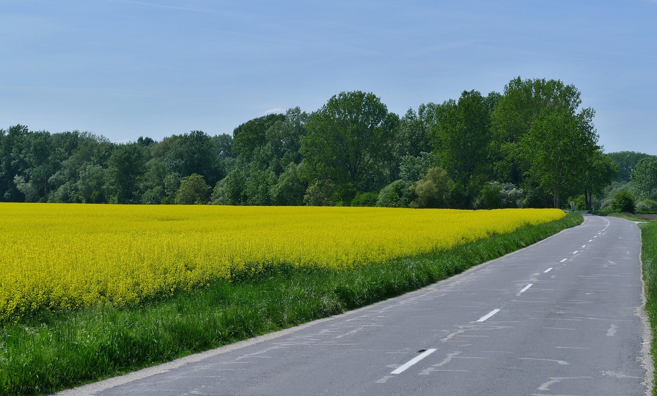 蕪黃旌德段建設(shè)進展及未來展望，最新消息揭秘