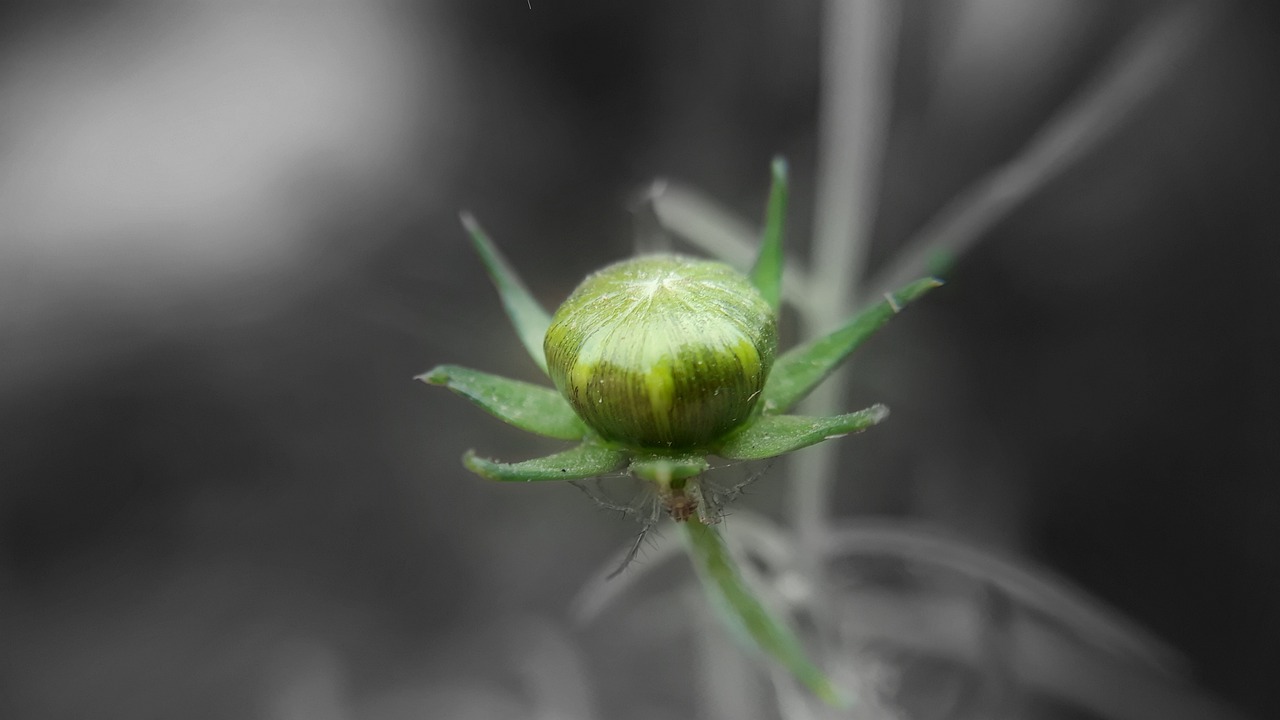 托普軟件最新消息深度解析，公司動(dòng)態(tài)與技術(shù)進(jìn)展一網(wǎng)打盡