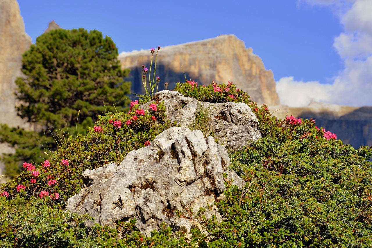 哈市道外區(qū)最新招聘動態(tài)，崗位發(fā)布與影響分析