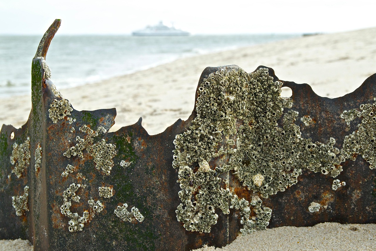 日本失聯(lián)老師最新動(dòng)態(tài)，搜救行動(dòng)進(jìn)展與持續(xù)關(guān)注聚焦