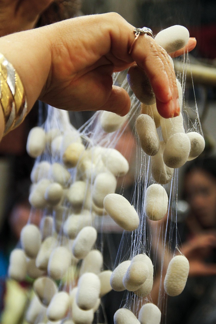 三殿村改造最新動(dòng)態(tài)，重塑鄉(xiāng)村風(fēng)貌，邁向現(xiàn)代化進(jìn)程