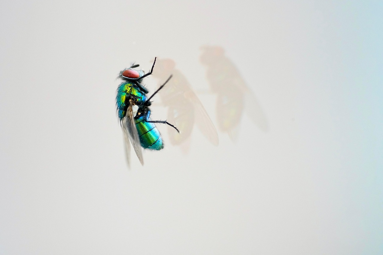 天天炫斗最新版2015年，游戲新體驗與特色解析