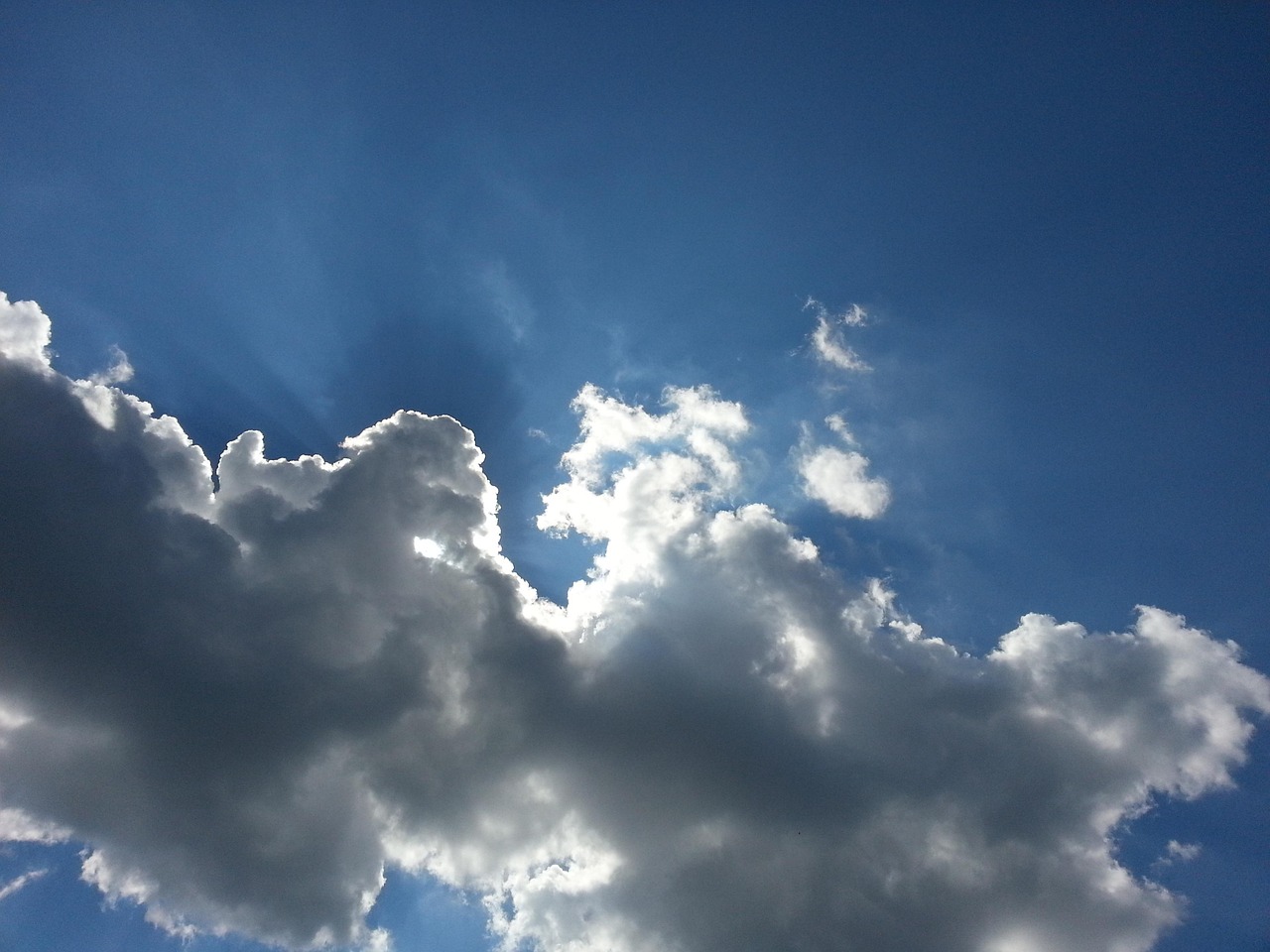 漢宮花苑最新動態(tài)，綻放的新篇章