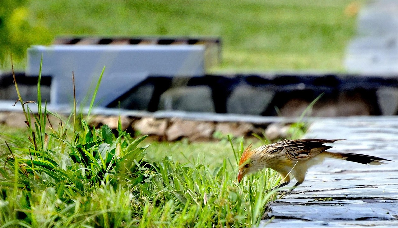 宜賓萬達(dá)廣場最新動態(tài)更新，最新消息一覽