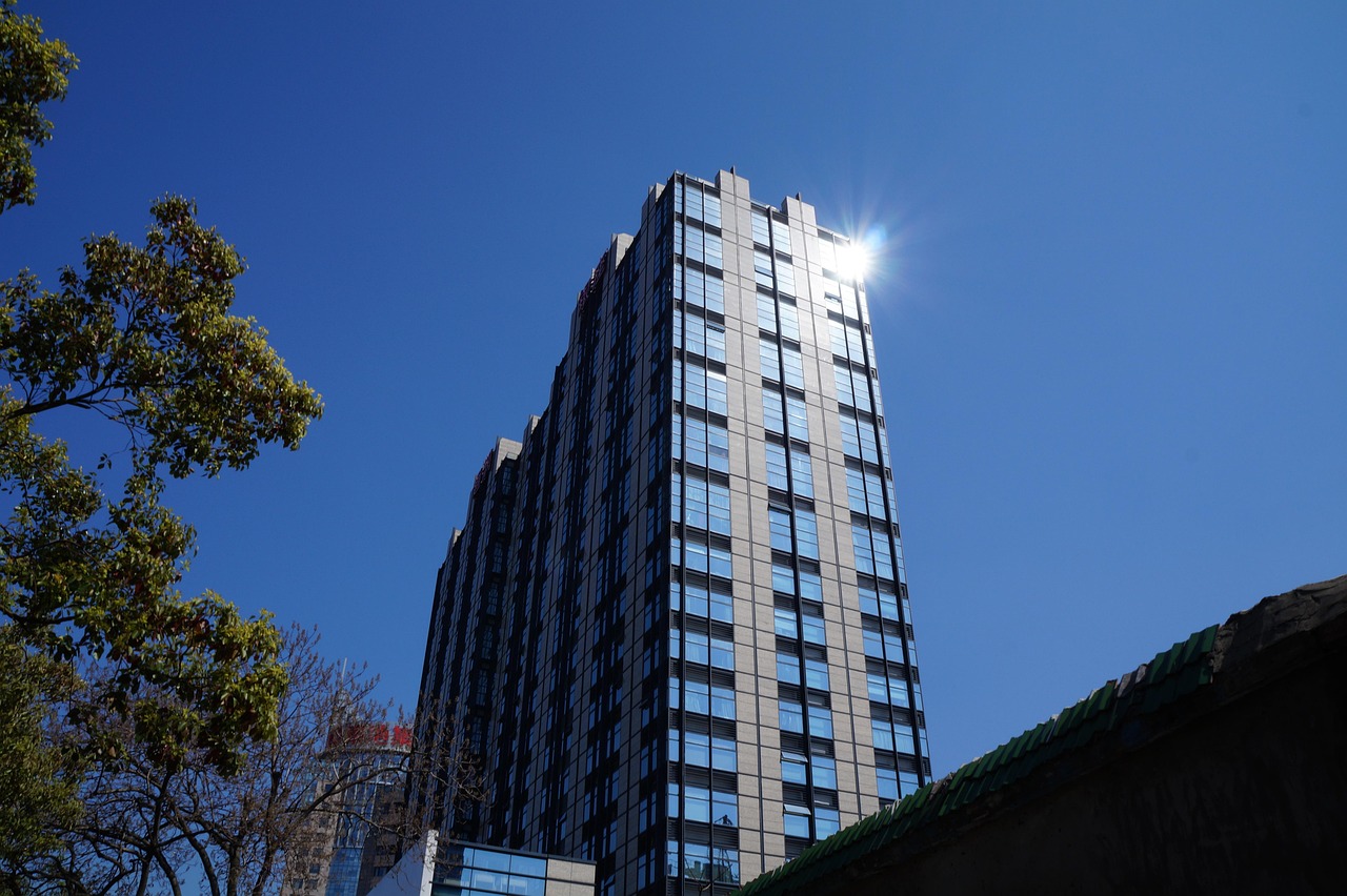 林口二手樓房最新發(fā)布，市場趨勢與購房指南