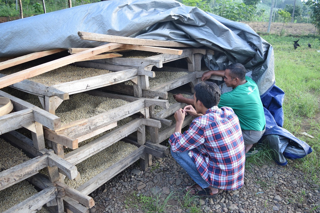 甘肅省玉門市最新房價(jià)動態(tài)分析與趨勢預(yù)測