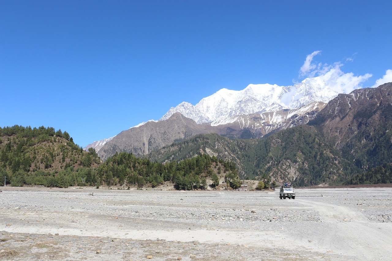 日照最新靚號手機(jī)號碼動態(tài)更新
