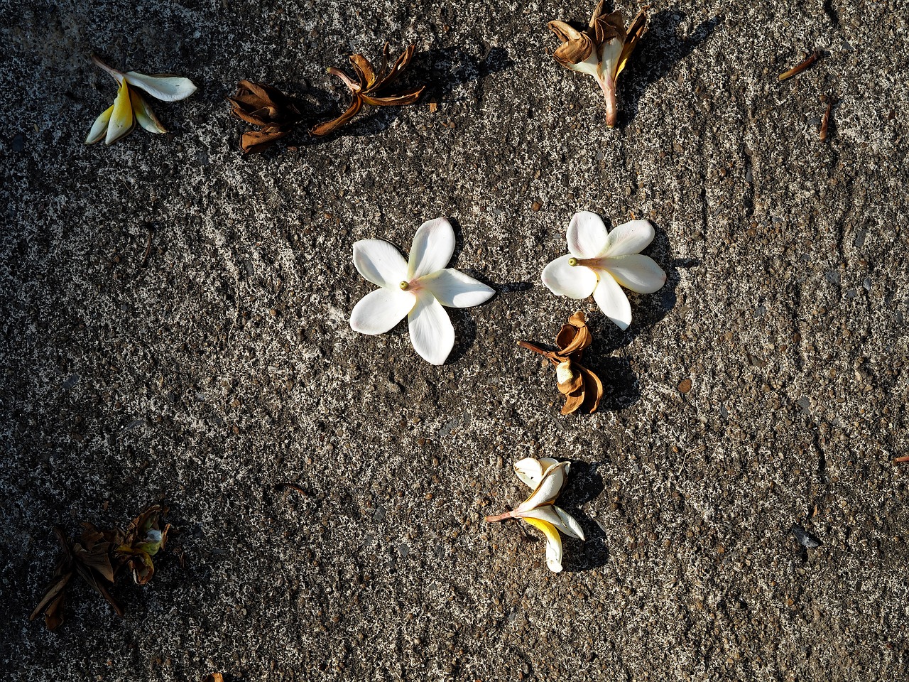 洪澤湖采砂最新動(dòng)態(tài)更新，最新采砂消息揭秘