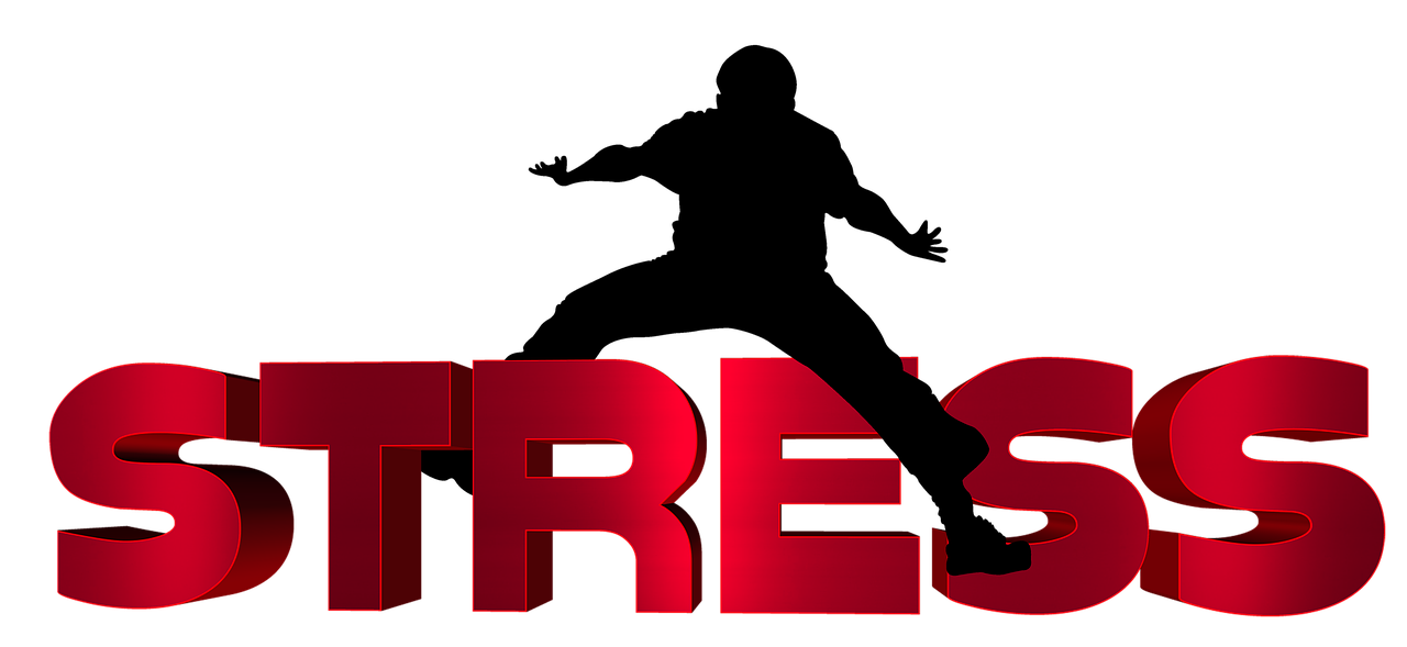 齊河二手車最新信息概覽，最新動(dòng)態(tài)一網(wǎng)打盡