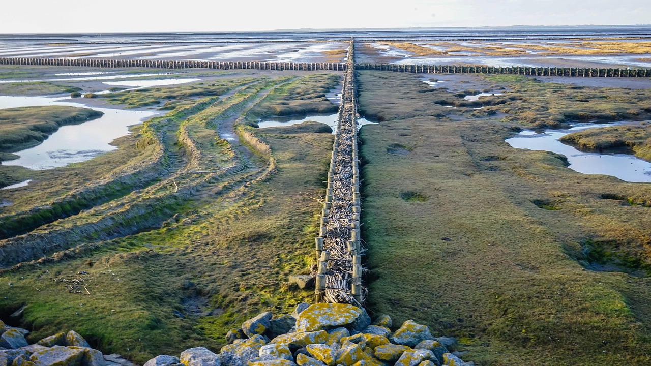 ?；◢u最新工程進度圖全景概覽