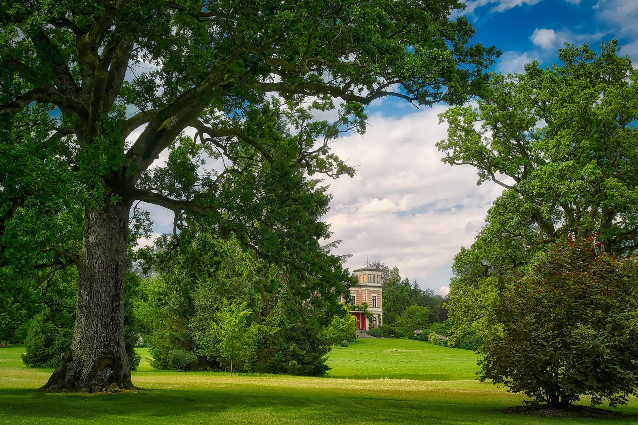愛濤尚書云邸最新動態(tài)揭秘，城市繁華生活新篇章