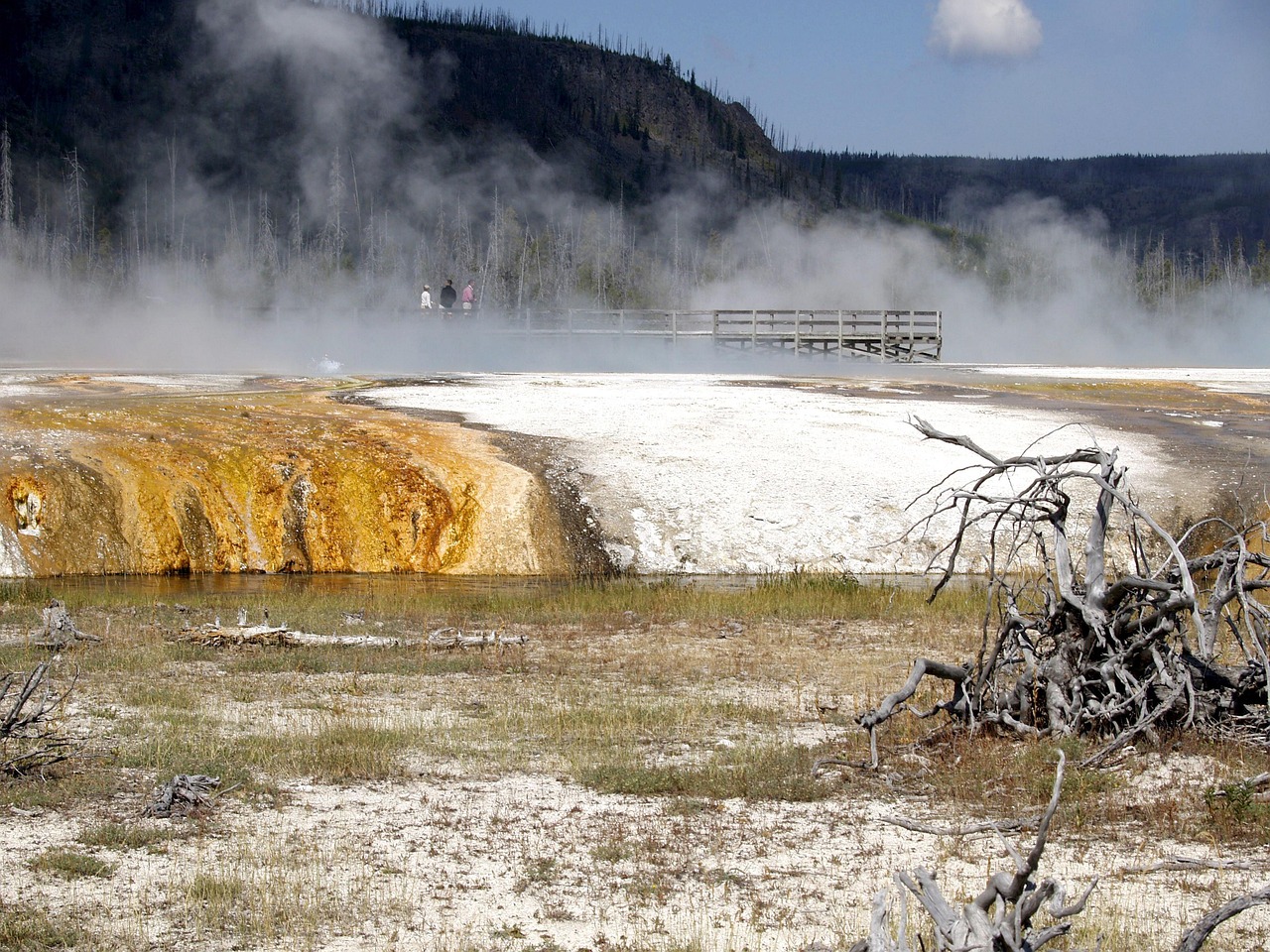 宏澤中央公園最新動態(tài)速遞，最新消息一覽