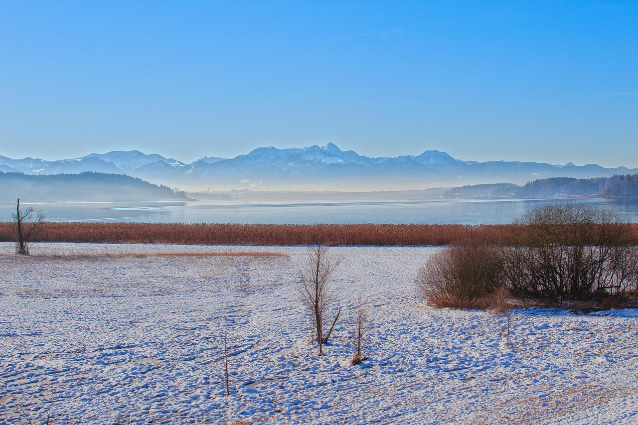 揭秘，關(guān)于1977年1分硬幣的最新消息與動態(tài)分析