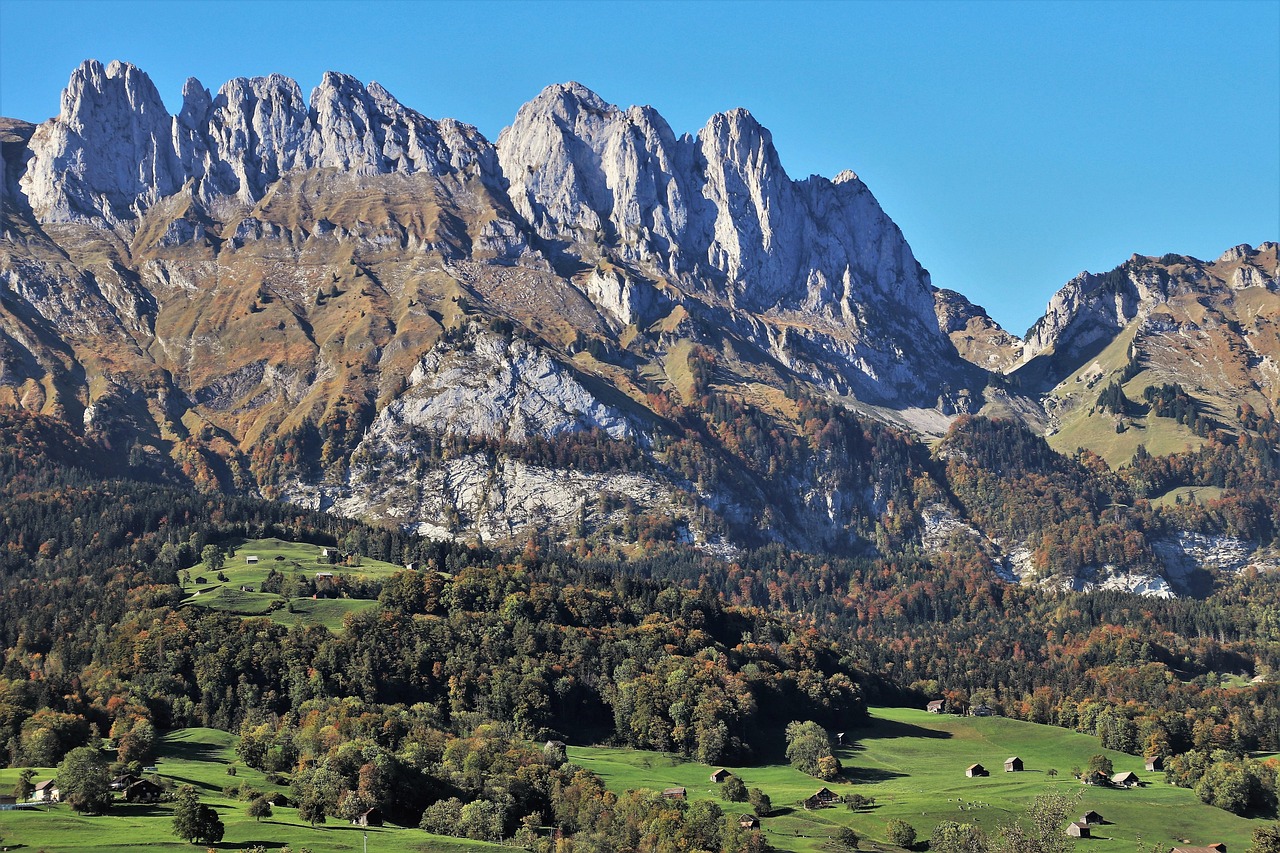 灃西新城資村發(fā)展最新動態(tài)，脈絡、展望與未來趨勢