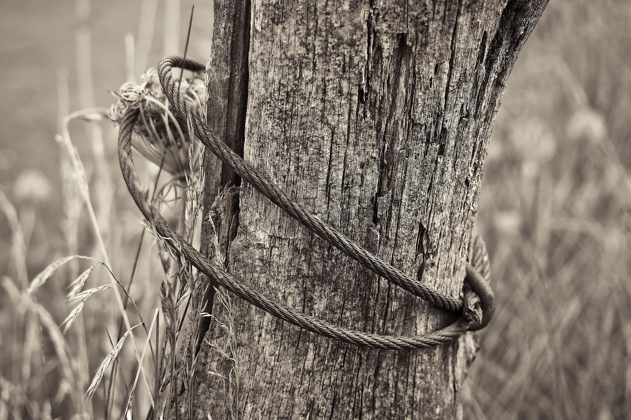 祁陽(yáng)撤縣劃市最新動(dòng)態(tài)，轉(zhuǎn)型發(fā)展開(kāi)啟嶄新篇章