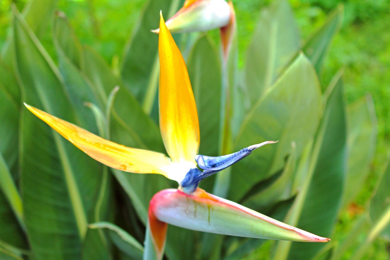 心已麻木 第6頁