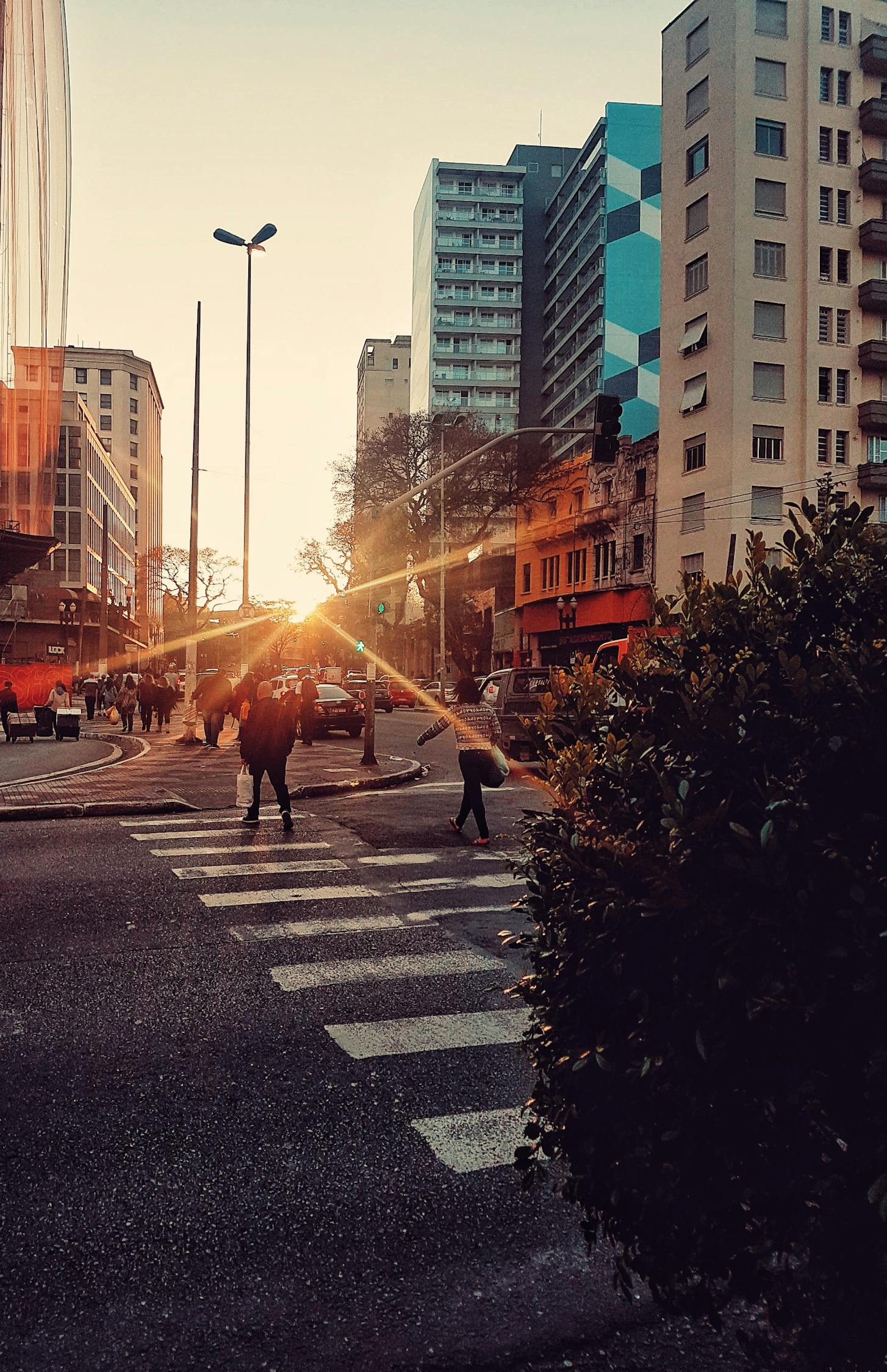 漯河市西城區(qū)繁榮崛起，城市新篇章揭秘發(fā)展動態(tài)