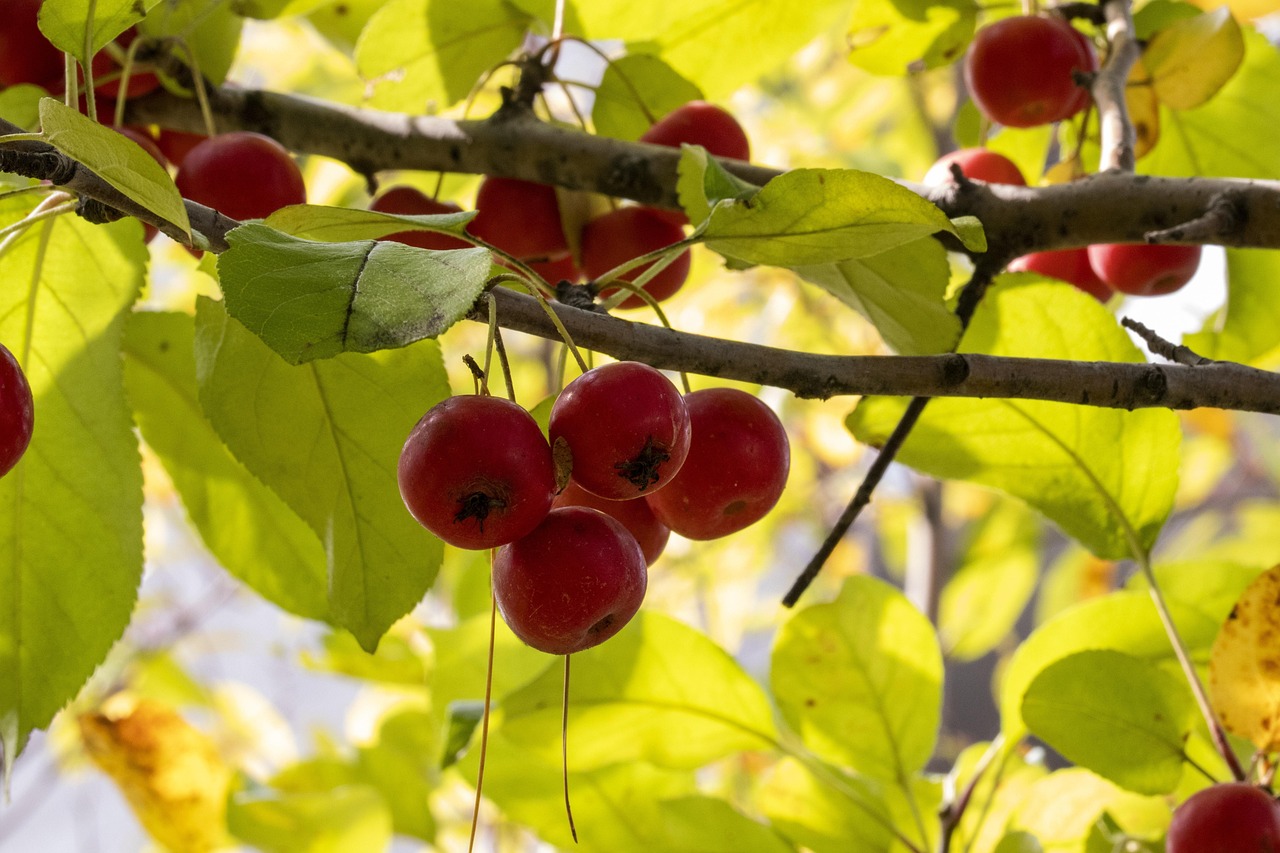 崇外6號地騰退最新動態(tài)，城市更新與社區(qū)發(fā)展新篇章