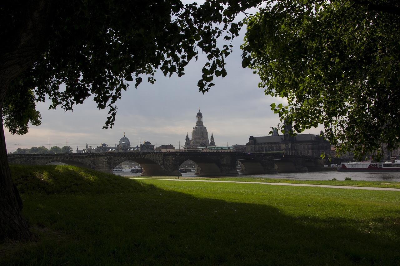 成華圣燈公園最新進展，城市綠色心臟蓬勃生長