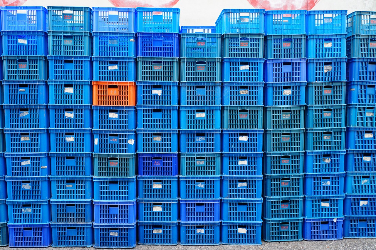 平頂山單知偉，城市發(fā)展的見證者與創(chuàng)新引領(lǐng)者的最新動態(tài)