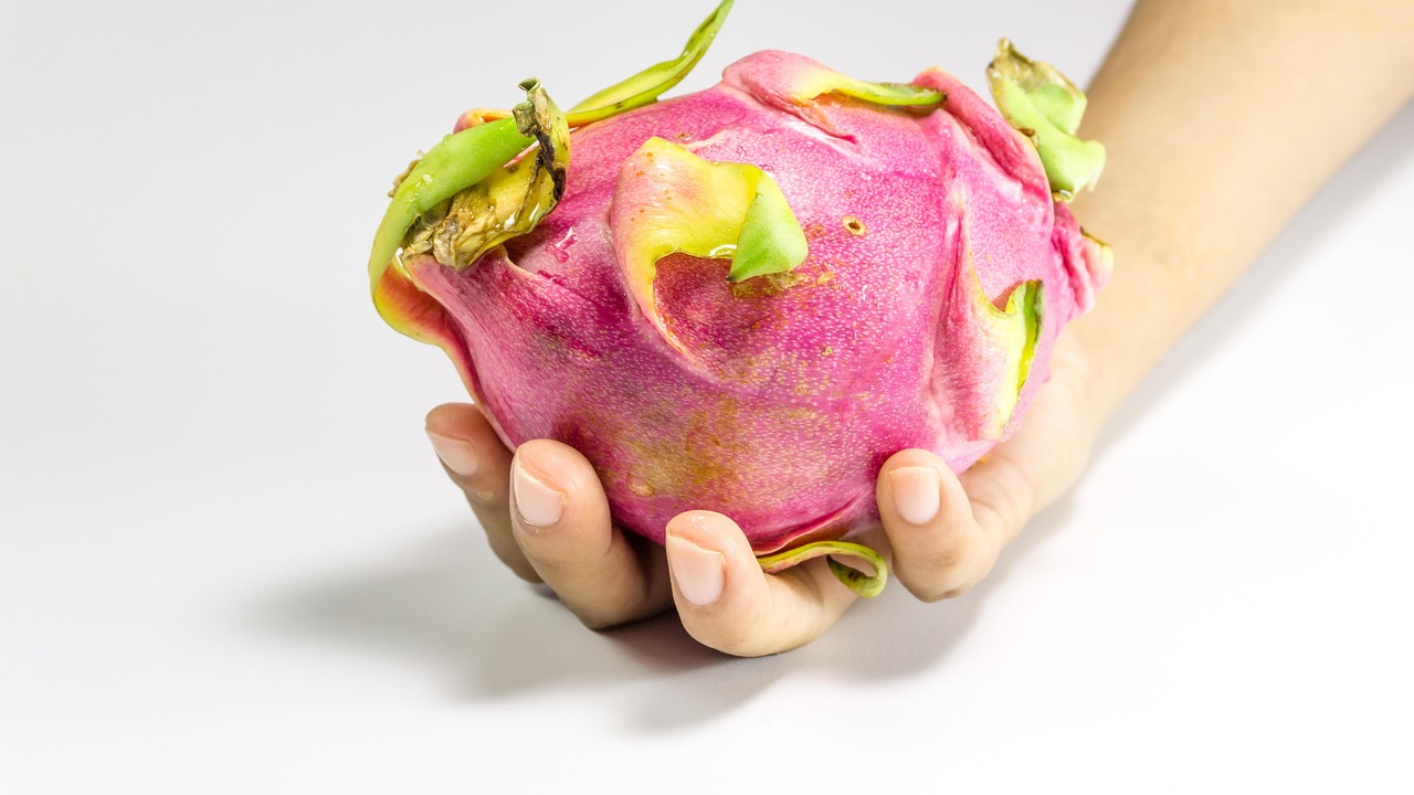 YY主播小白龍最新動(dòng)態(tài)，探索成長(zhǎng)與變化的軌跡