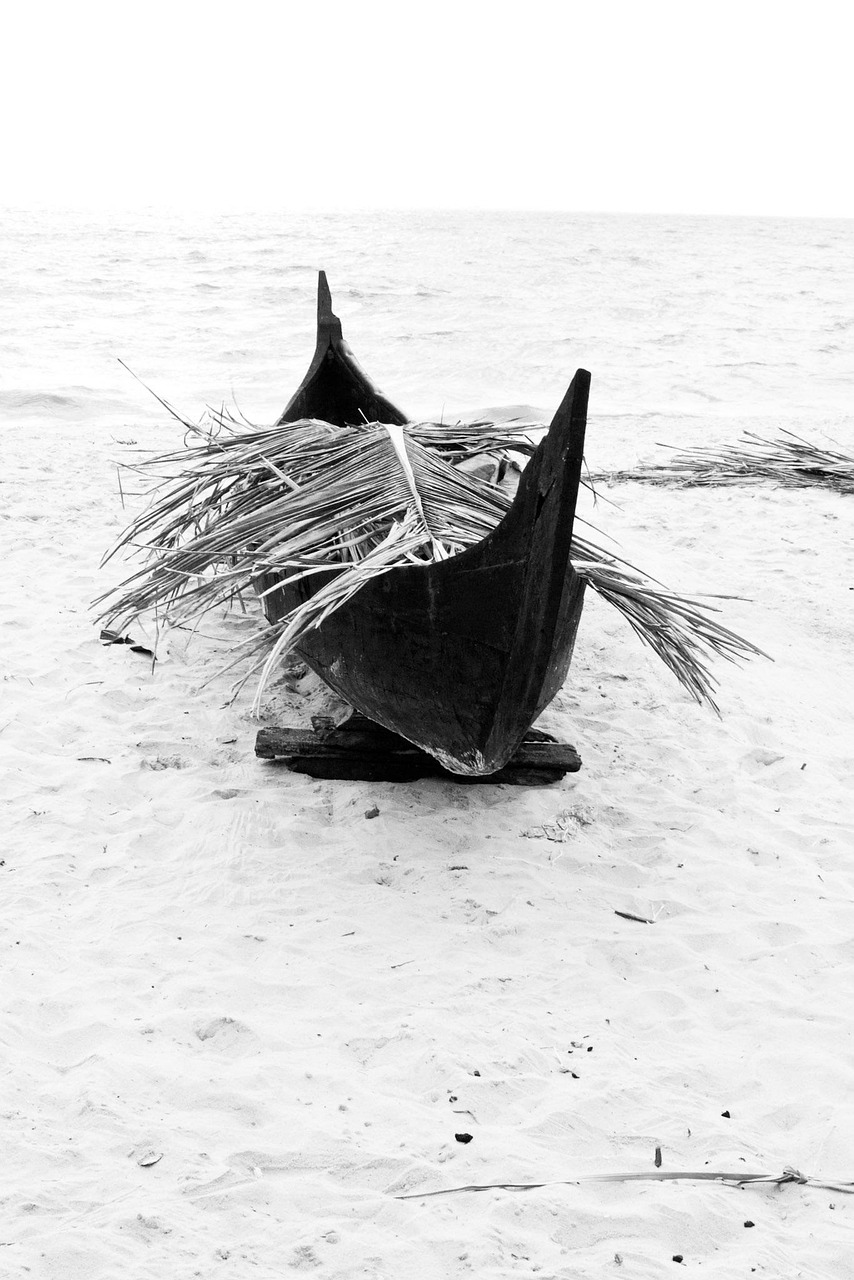 臺(tái)風(fēng)最新動(dòng)態(tài)，2017年第3號(hào)臺(tái)風(fēng)分析與預(yù)測