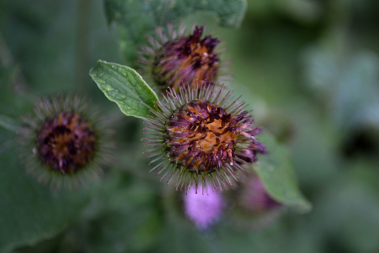 蕪湖市三山區(qū)最新招聘信息概覽，最新職位與招聘動(dòng)態(tài)全解析