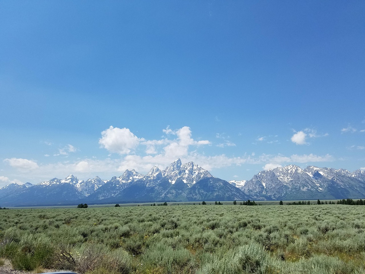 崀山犬木塘庫最新動態(tài)，揭開神秘面紗下的壯麗景象揭秘