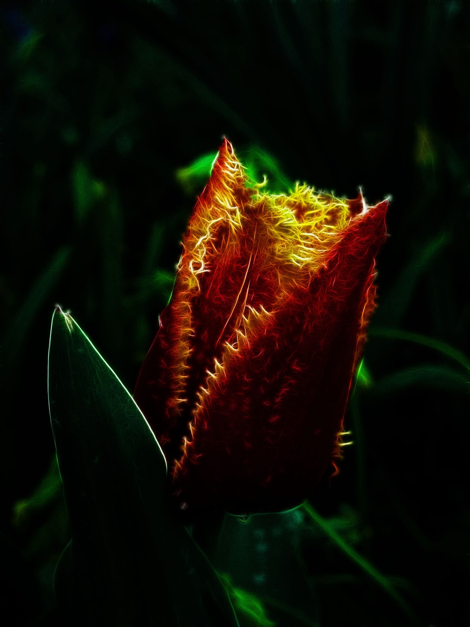 最新朵色產(chǎn)品進貨價格表圖詳解，全面了解朵色進貨價格動態(tài)