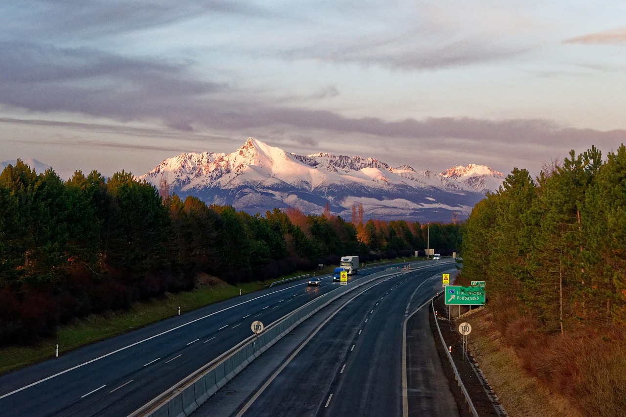 沈陽(yáng)地鐵10號(hào)線(xiàn)最新線(xiàn)路圖概覽，最新線(xiàn)路圖一覽無(wú)余