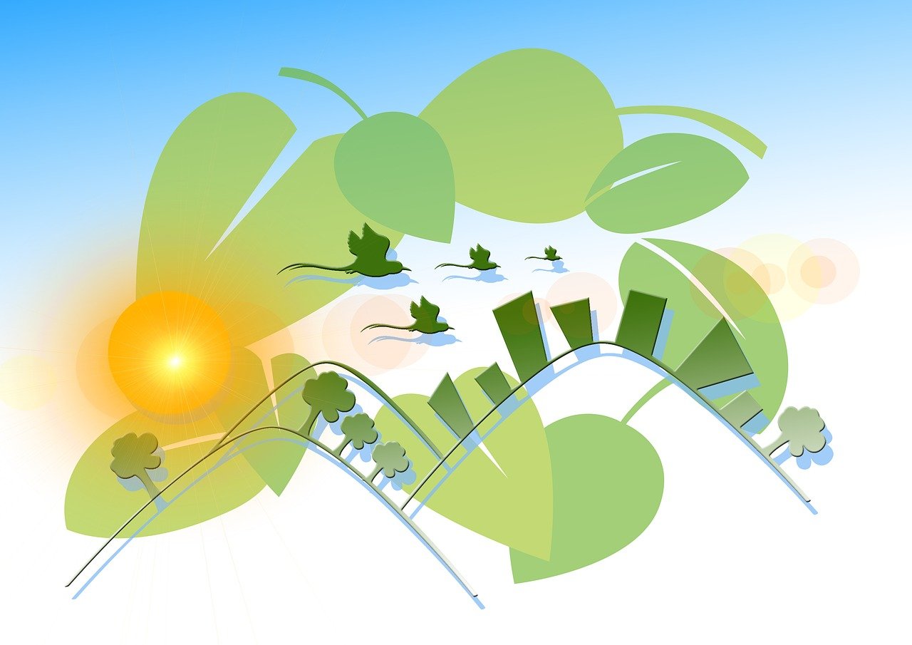 ST長油新三板動(dòng)態(tài)，最新消息與深度解析