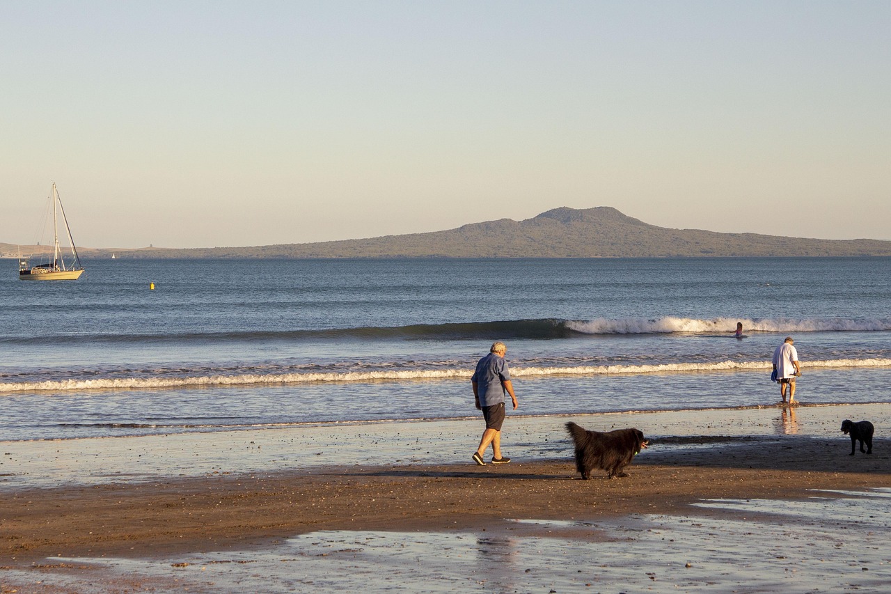 山西退休職工養(yǎng)老金調(diào)整最新動(dòng)態(tài)，改革進(jìn)展、未來展望與調(diào)整消息速遞