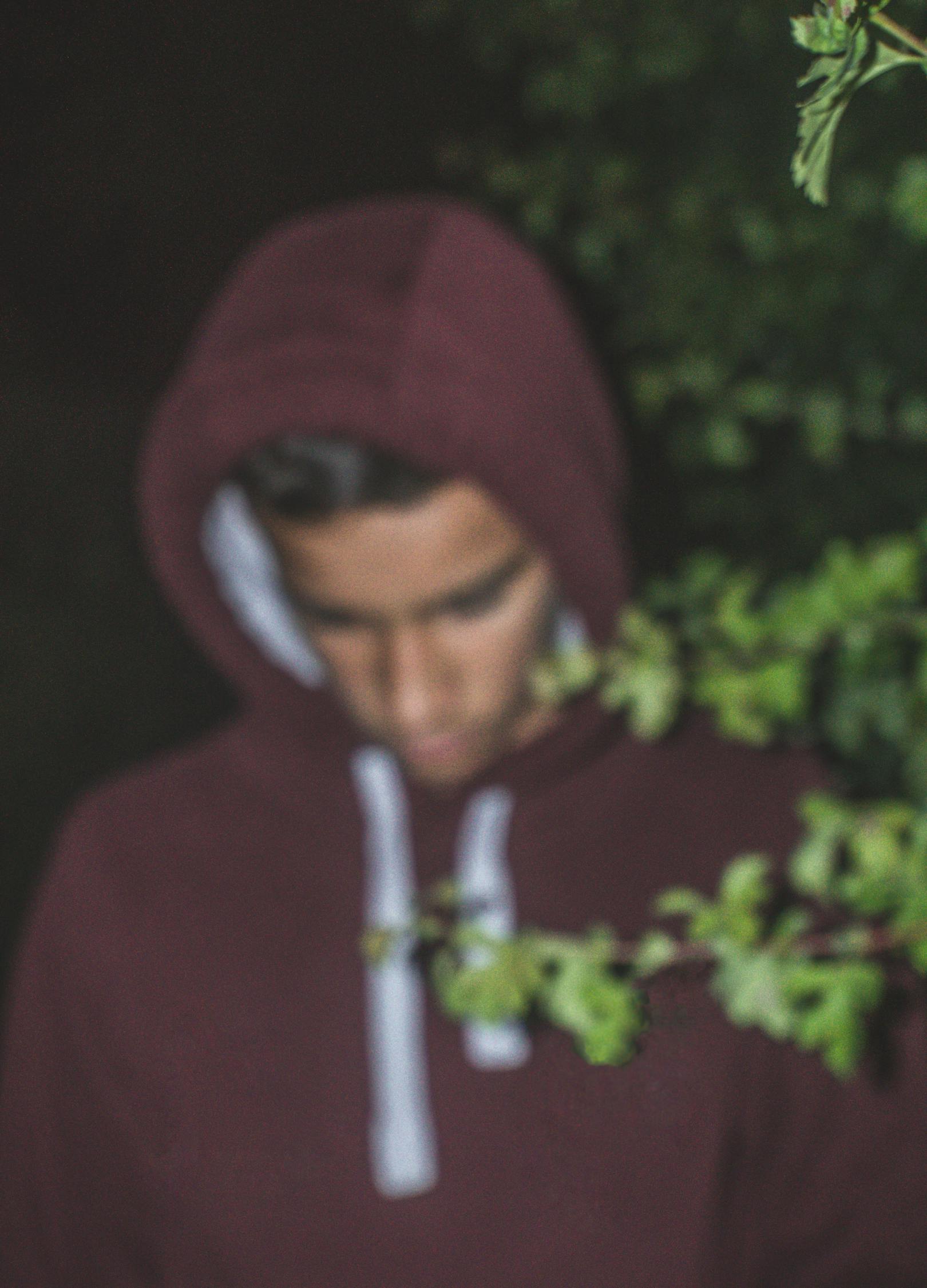 最新情愛電影，情感與愛的多維畫卷探索