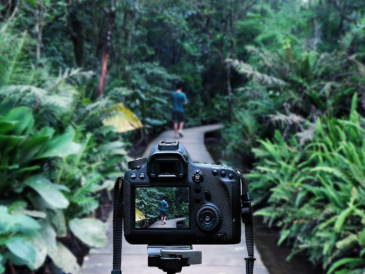 華晨宇最新動(dòng)態(tài)，音樂之旅開啟新篇章