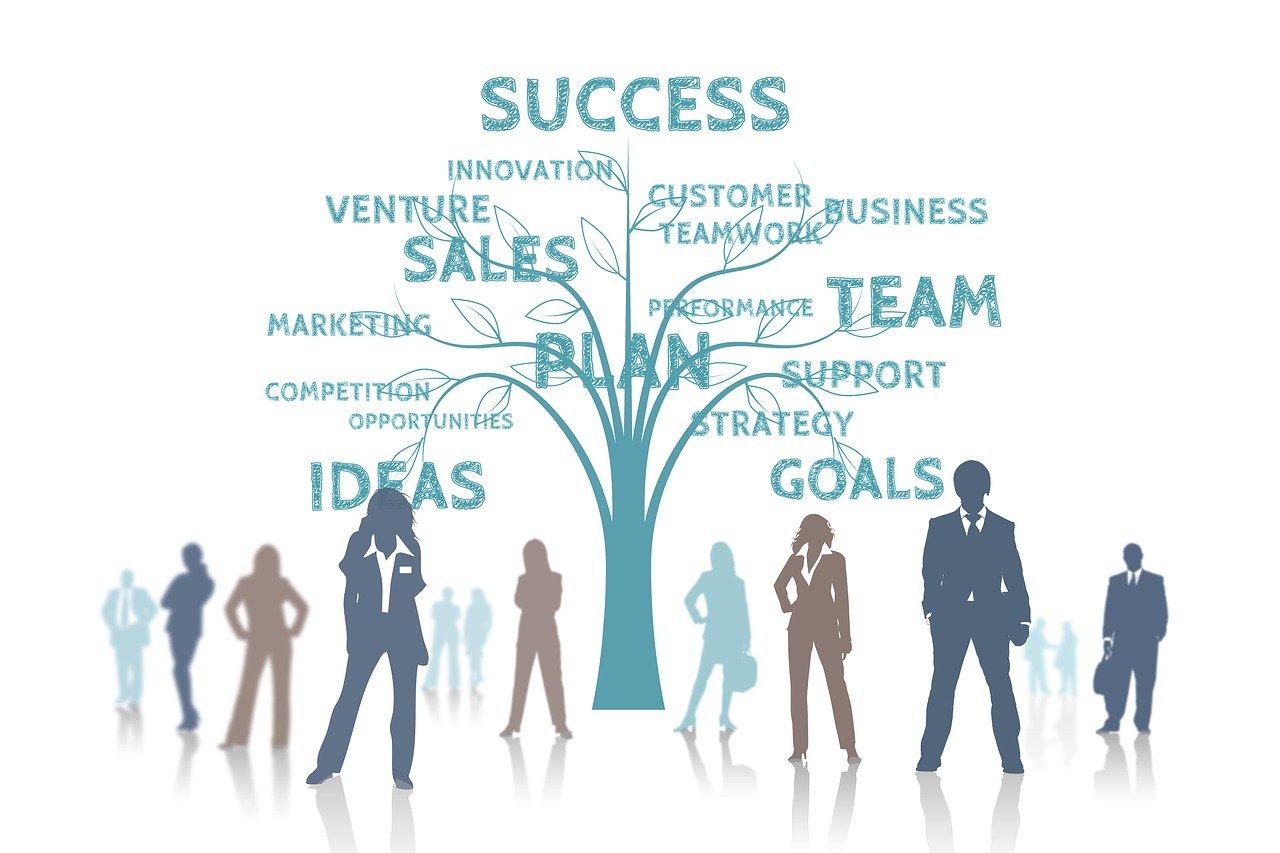 油菜最新價格動態(tài)分析與趨勢預(yù)測